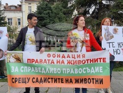 Пловдив - протест - насилие над животни
