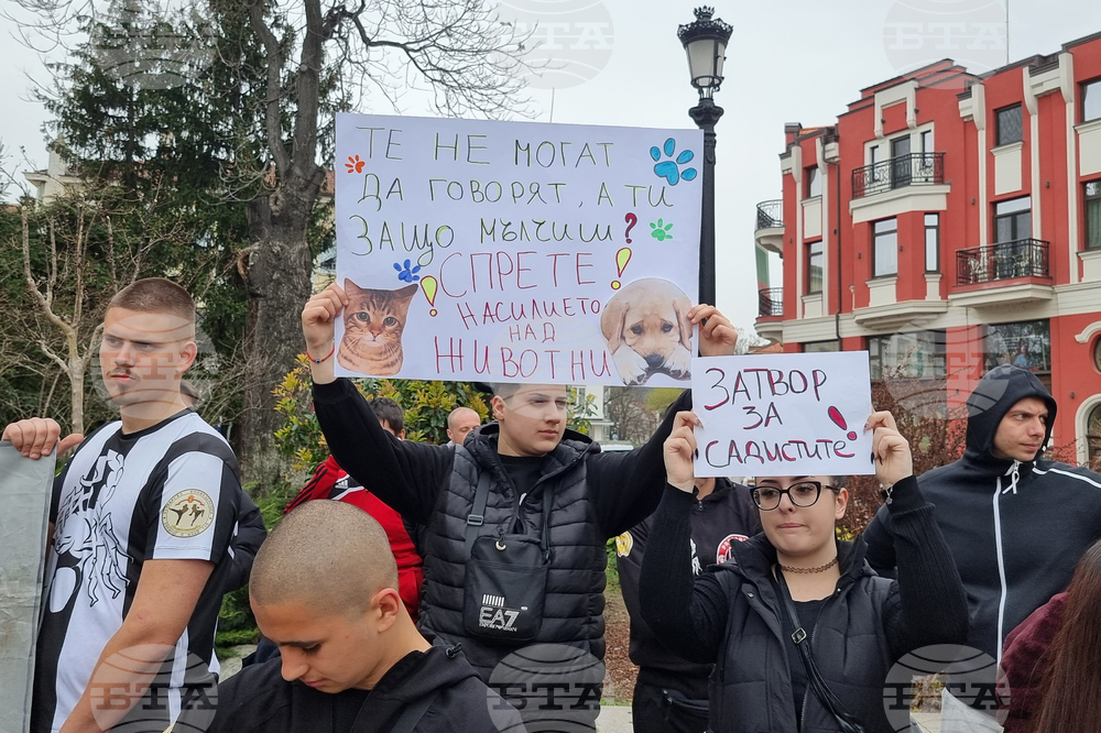 Пловдив - протест - насилие над животни