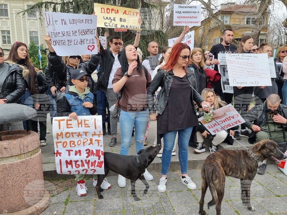 Пловдив - протест - насилие над животни