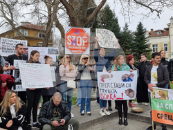 Пловдив - протест - насилие над животни
