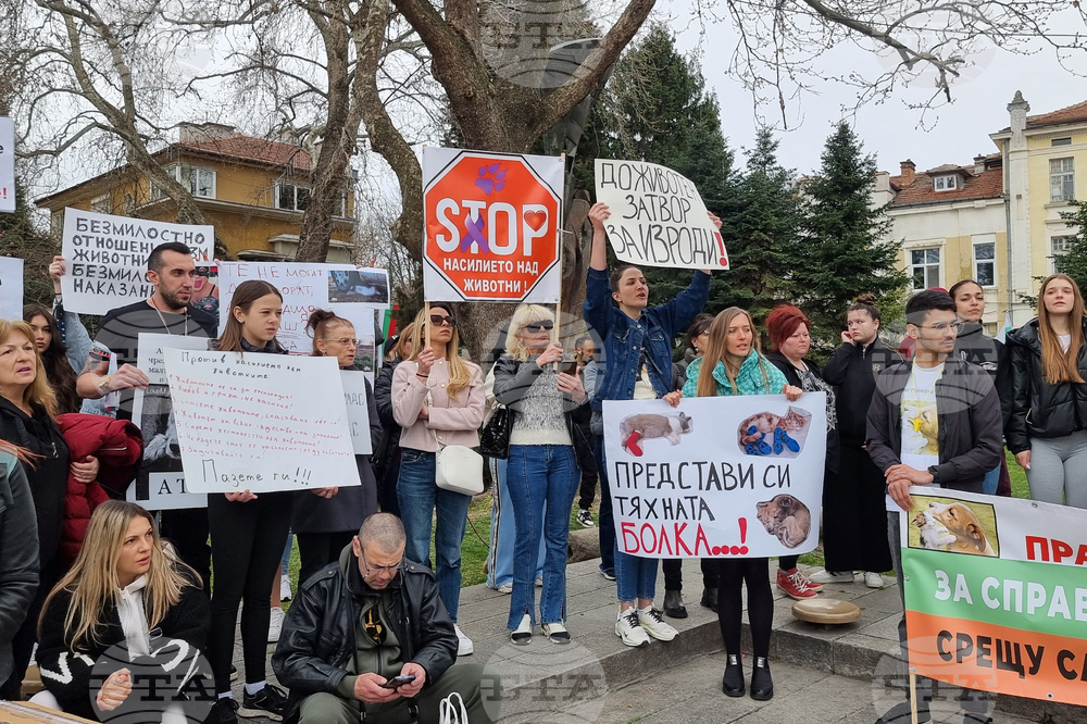 Пловдив - протест - насилие над животни