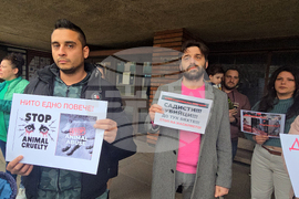 Сливен - протест в защита на животните