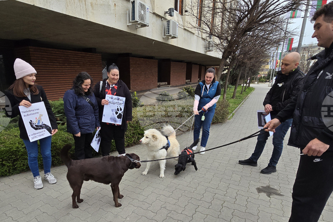Сливен - протест в защита на животните