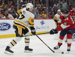 Penguins Panthers Hockey