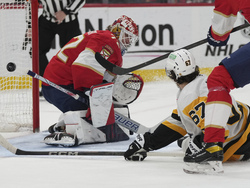 Penguins Panthers Hockey