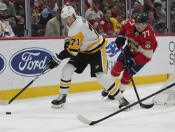 Penguins Panthers Hockey