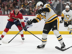 Penguins Panthers Hockey
