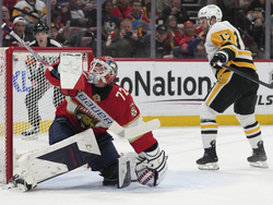 Penguins Panthers Hockey