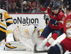 Penguins Panthers Hockey