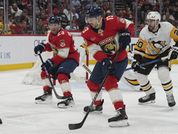 Penguins Panthers Hockey