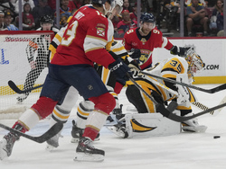 Penguins Panthers Hockey