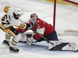 Penguins Panthers Hockey