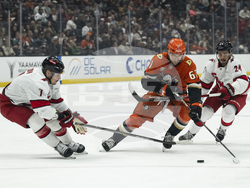 Hurricanes Ducks Hockey