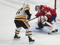 Penguins Panthers Hockey