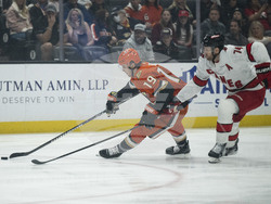 Hurricanes Ducks Hockey
