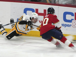 Penguins Panthers Hockey