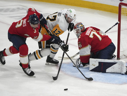 Penguins Panthers Hockey