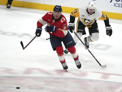 Penguins Panthers Hockey