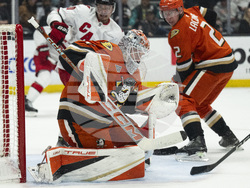 Hurricanes Ducks Hockey