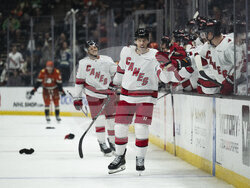 Hurricanes Ducks Hockey