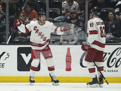 Hurricanes Ducks Hockey