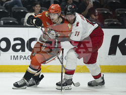 Hurricanes Ducks Hockey