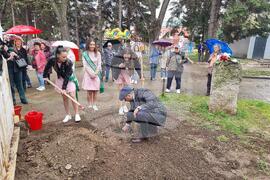 Кюстендил - Лили Шмидт - почит