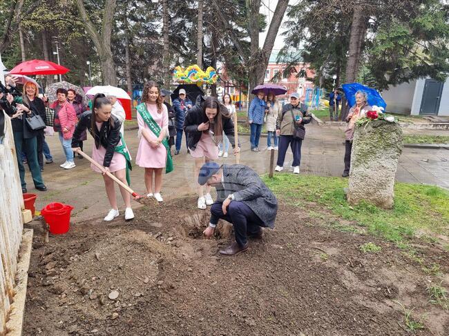 Кюстендил - Лили Шмидт - почит