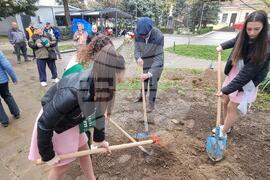 Кюстендил - Лили Шмидт - почит