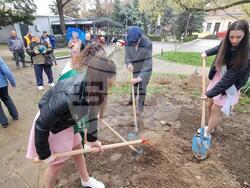 Кюстендил - Лили Шмидт - почит