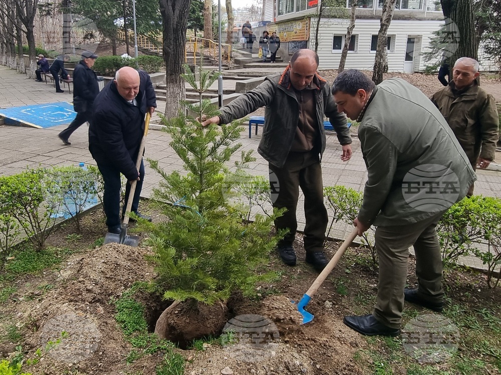Фиданки от пет различни вида бяха засадени в двора на кърджалийската болница 