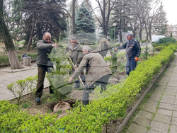 Кърджали - МБАЛ „Д-р Ат. Дафовски“ - залесяване