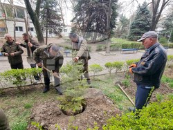 Кърджали - МБАЛ „Д-р Ат. Дафовски“ - залесяване
