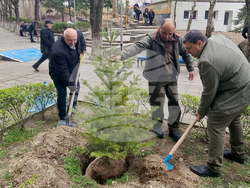 Кърджали - МБАЛ „Д-р Ат. Дафовски“ - залесяване
