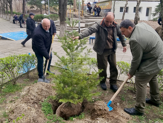Кърджали - МБАЛ „Д-р Ат. Дафовски“ - залесяване