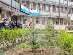 Кърджали - МБАЛ „Д-р Ат. Дафовски“ - залесяване