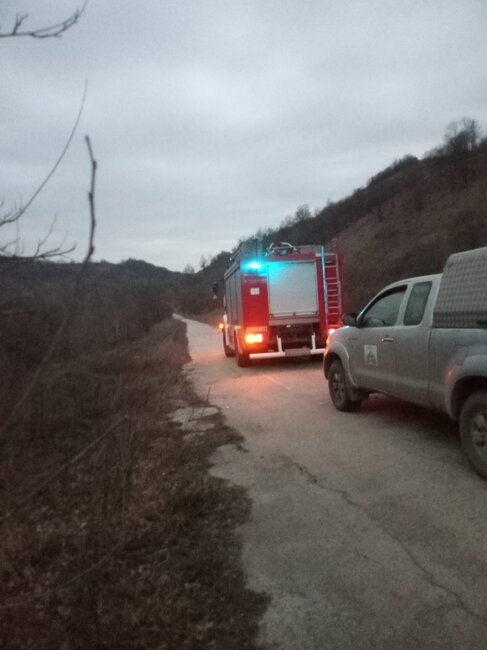 Локализиран пожар във видинското село Долни Бошняк се е възобновил, изгорели са 90 декара дъбова гора