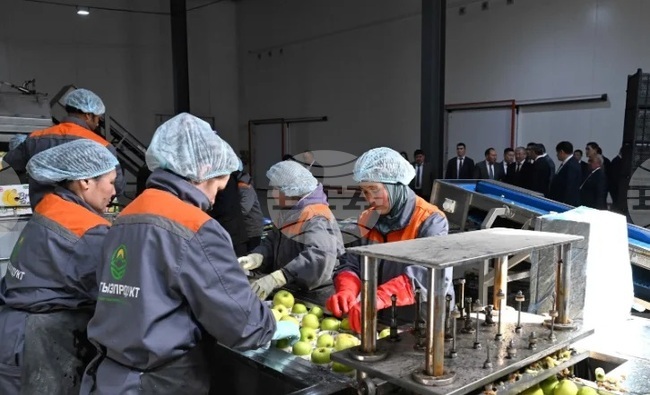 КАБАР: Безработицата в Киргизстан е спаднала с 23,2% на годишна база