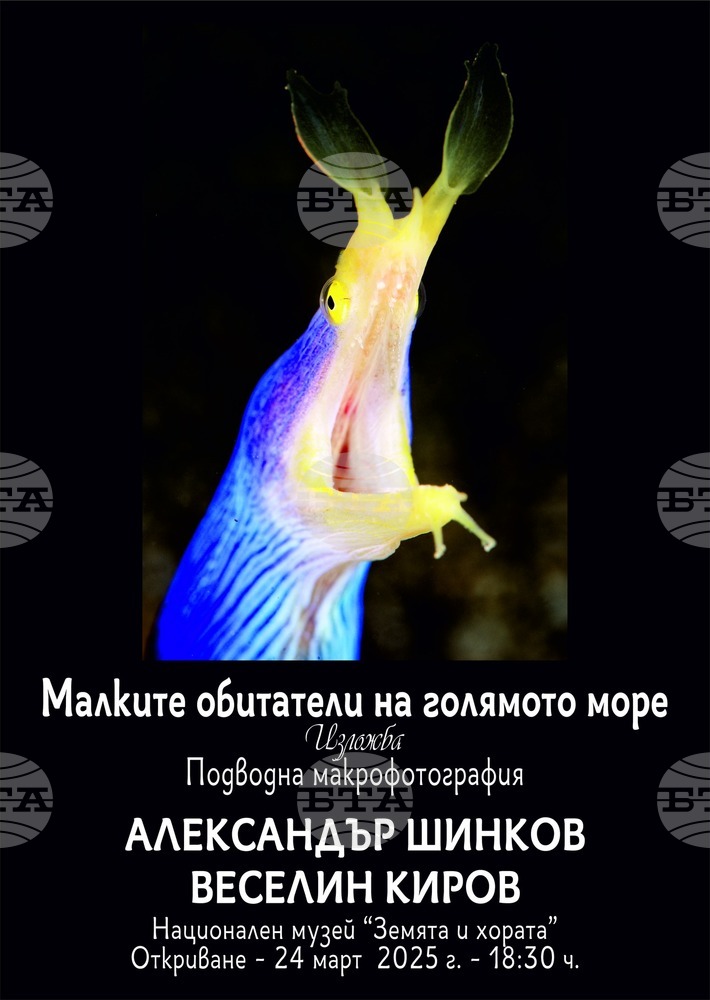 Александър Шинков и Веселин Киров показват подводни фотографии в изложбата „Малките обитатели на голямото море“