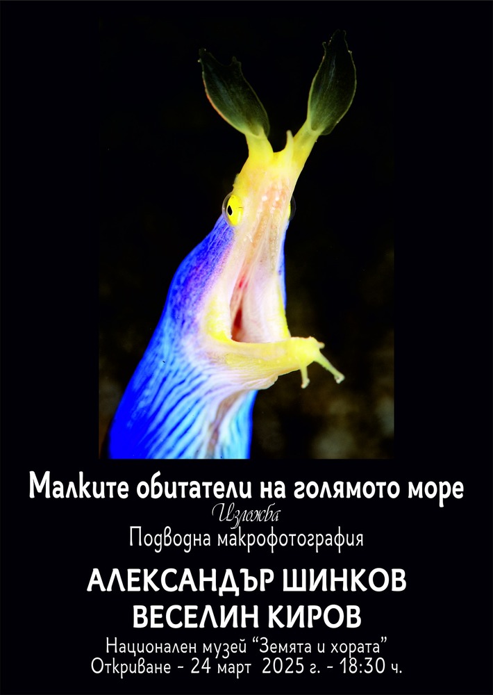 Александър Шинков и Веселин Киров показват подводни фотографии в изложбата „Малките обитатели на голямото море“