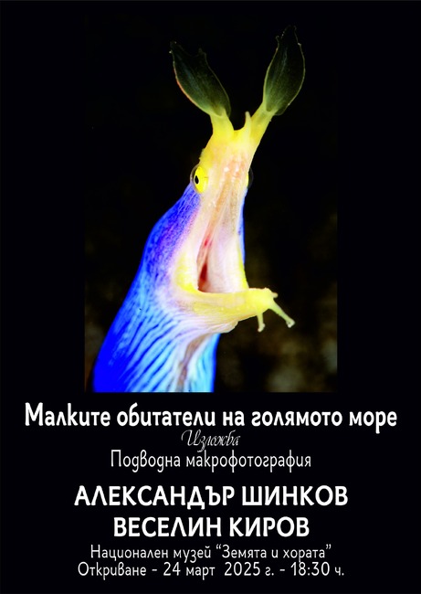 Александър Шинков и Веселин Киров показват подводни фотографии в изложбата „Малките обитатели на голямото море“ 
