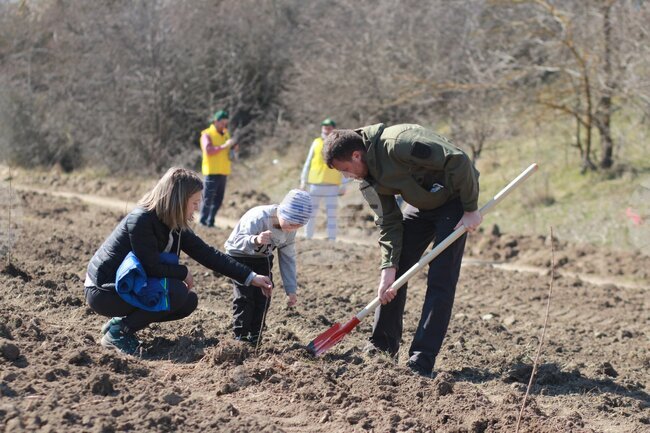 МОЛДПРЕС: Местни жители помогнаха при засаждането на гора от 10 хиляди тополи в Молдова