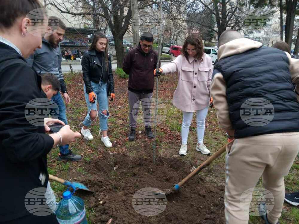 Община Кюстендил започна залесителна кампания