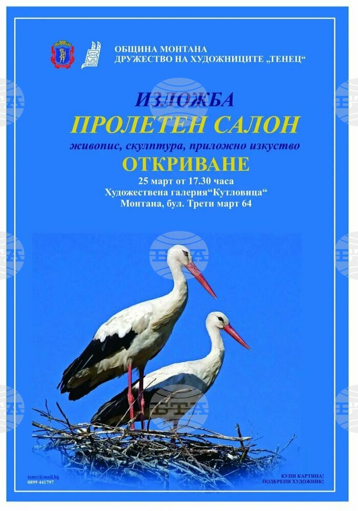 Художници от Монтана и региона ще представят свои творби в пролетна изложба