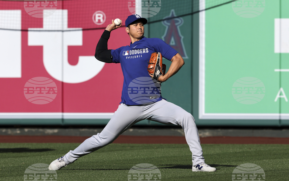 Dodgers Angels Baseball