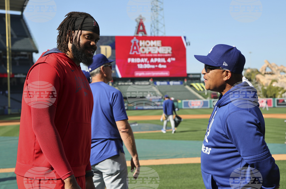 Dodgers Angels Baseball