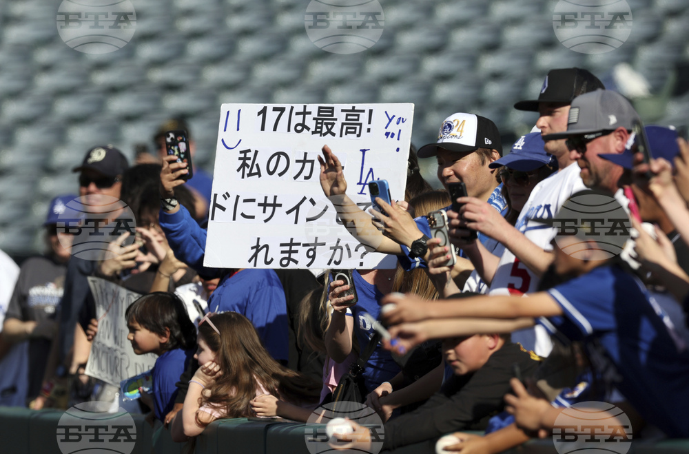 Dodgers Angels Baseball