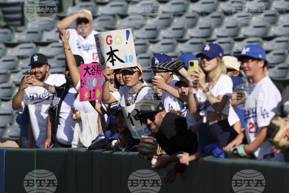 Dodgers Angels Baseball