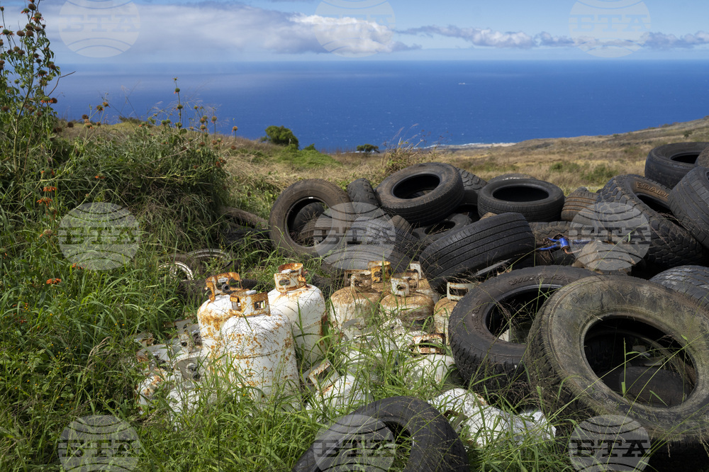 Philanthropy Hawaii Firewise Communities