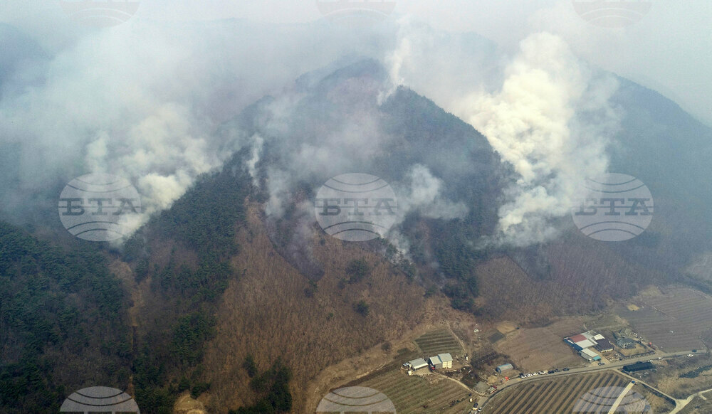 South Korea Wildfires